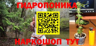 молекула духа Малоярославец