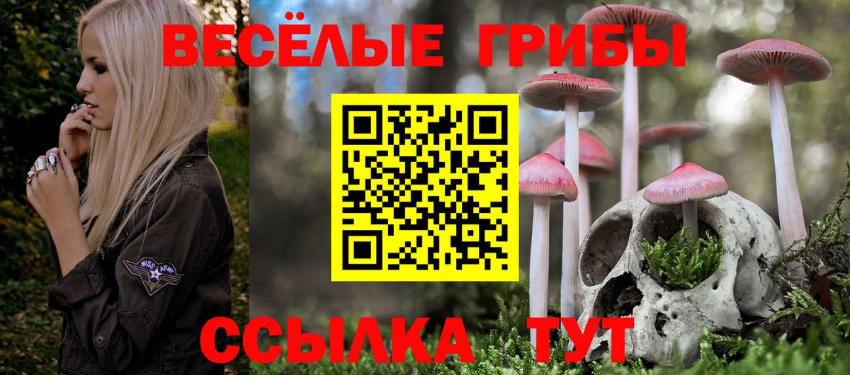 Псилоцибиновые грибы MAGIC MUSHROOMS Усолье-Сибирское